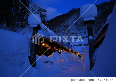 Winter papilla hot spring 37261072