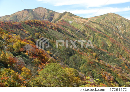 Asahi里奇登上Asahidake秋葉 37261372