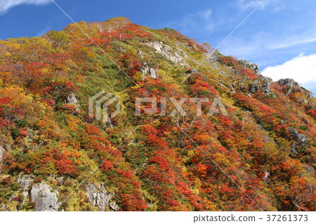 朝日朝陽瀑布的朝日 朝日朝陽瀑布的朝日 37261373