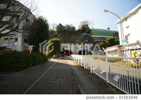 Yokohama View on the road 37261646