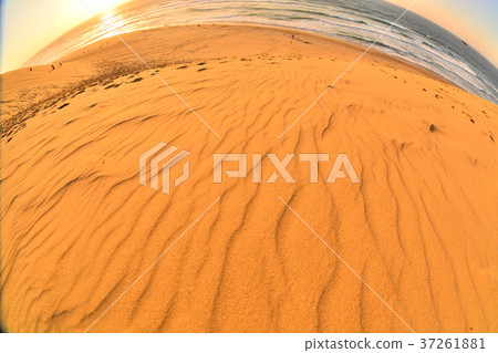 Sandpaper of Tottori sand dune 37261881