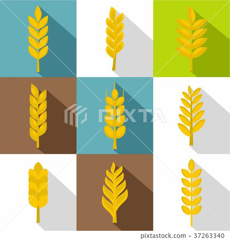 Wheat ears icon set, flat style 37263340