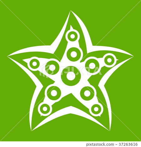 Starfish icon green Starfish icon green 37263616