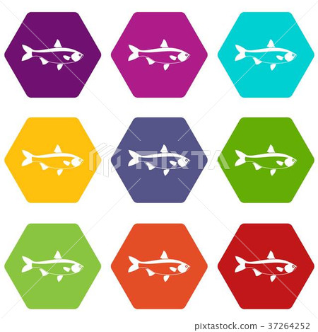Fish icon set color hexahedron 37264252