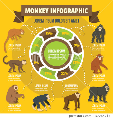Monkey infographic concept, flat style 37265717