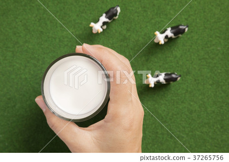 拿著杯牛奶的婦女手 拿著杯牛奶的婦女手 37265756