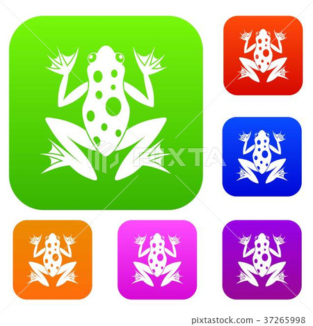 Frog set collection Frog set collection 37265998