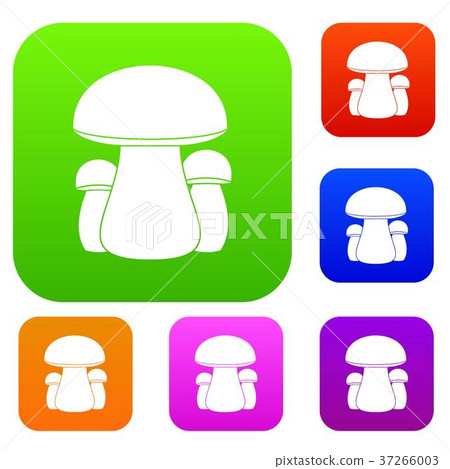 Mushroom set collection Mushroom set collection 37266003
