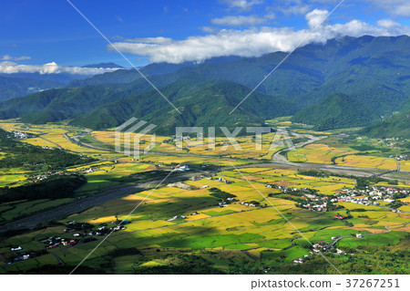 East Rift Valley, rice fields, farming, fields, rice, farmland, agriculture, crops, agricultural products, Asia, Taiwan, Taiwan, Chinese Taipei, Hualien, Yuli East Rift Valley, rice fields, farming, fields, rice, farmland, agriculture, crops, agricultural products, Asia, Taiwan, Taiwan, Chinese Taipei, Hualien, Yuli 37267251