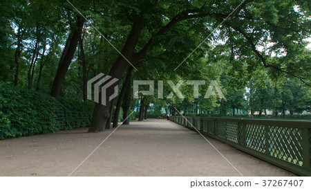 Embankment of the lake in the Summer Garden in the Embankment of the lake in the Summer Garden in the 37267407