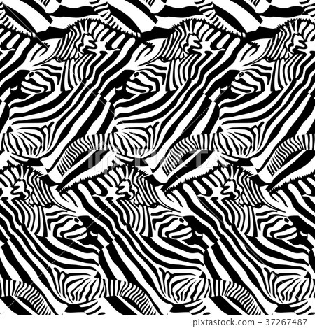 Zebra seamless pattern.  37267487