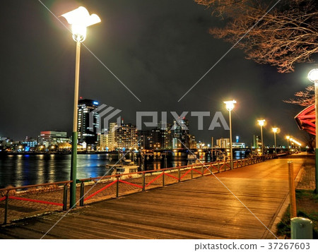 港口鎮在晚上 37267603