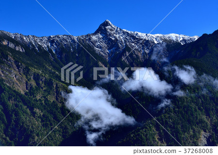 玉山,雲,樹,天,藍,高峰,中華台北,臺灣,南投,晴朗,雪景,雪,山,高山,玉山國家公園 37268008