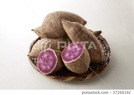 Sweet potato Sakurajima purple Sweet potato Sakurajima purple 37268192