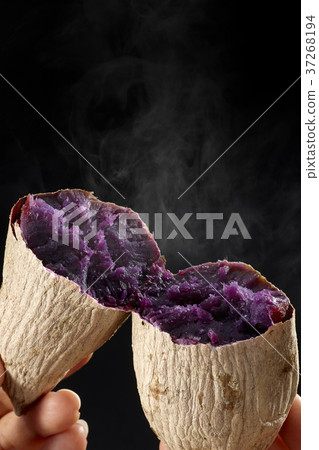 Sweet potato Sakurajima purple 37268194