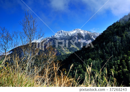 玉山,雲,樹,天,藍,高峰,中華台北,臺灣,南投,晴朗,雪景,雪,山,高山,玉山國家公園 玉山,雲,樹,天,藍,高峰,中華台北,臺灣,南投,晴朗,雪景,雪,山,高山,玉山國家公園 37268243