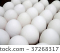 White egg food safety nutrition 37268317