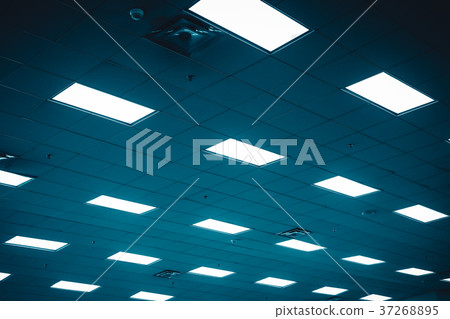 Ceiling and light panel with Fluorescent lamp  37268895