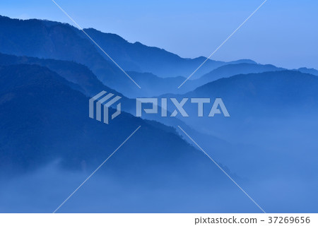 晨霧,雲,樹,天,藍,中華台北,臺灣,南投,晴朗,森林,山,高山,玉山,玉山國家公園 37269656