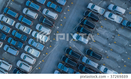 Aerial view new cars lined up in the port Aerial view new cars lined up in the port 37269889