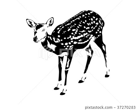 spotted deer silhouette in black and white spotted deer silhouette in black and white 37270283