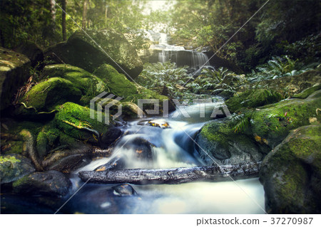 Amazing waterfall with beautiful scenery Amazing waterfall with beautiful scenery 37270987