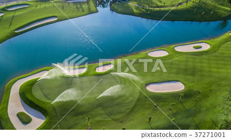 Aerial view of green golf course. 37271001