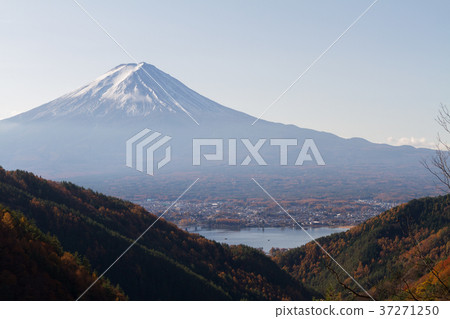 Mt. Fuji Autumn leaves Misaka 37271250