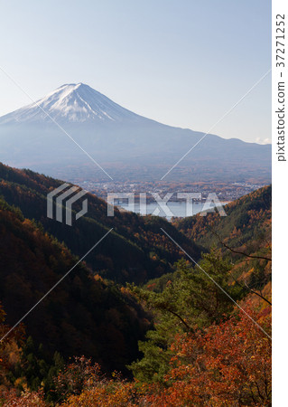 富士山秋葉禦坂 37271252