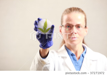 Woman doctor holding a cannabis leaf and oil.alternative medicin 37271972