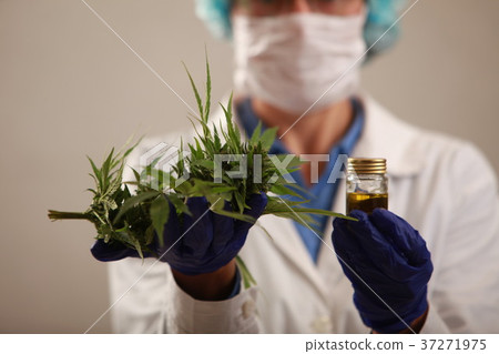 Woman doctor holding a cannabis leaf and oil.alternative medicin 37271975