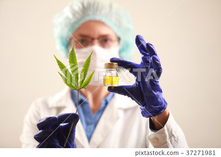 Woman doctor holding a cannabis leaf and oil.alternative medicin 37271981