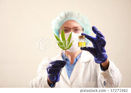 Woman doctor holding a cannabis leaf and oil.alternative medicin Woman doctor holding a cannabis leaf and oil.alternative medicin 37271982
