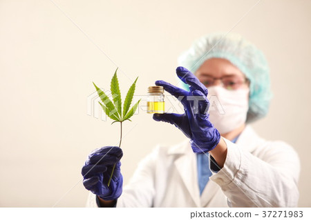 Woman doctor holding a cannabis leaf and oil.alternative medicin 37271983