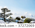 雪景 37272069
