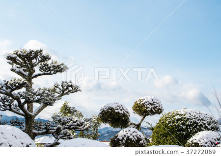 雪景 雪景 37272069