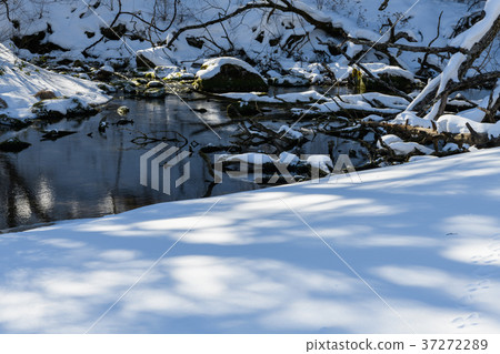 Winter fountain gate pond 37272289