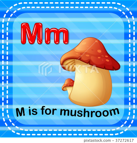 Flashcard letter M is for mushroom - Stock Illustration [37272617] - PIXTA