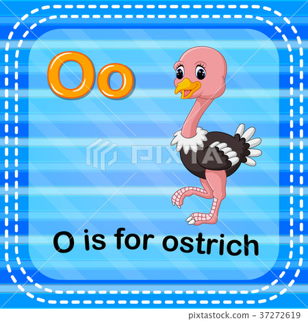 Flashcard letter O is for ostrich Flashcard letter O is for ostrich 37272619