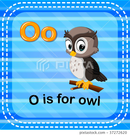 Flashcard letter O is for owl Flashcard letter O is for owl 37272620