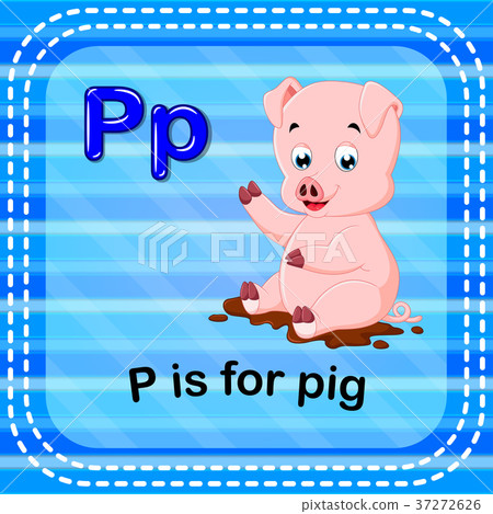 Flashcard letter P is for pig 37272626