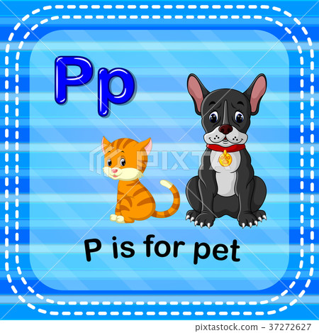 Flashcard letter P is for pet 37272627