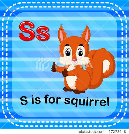 Flashcard letter S is for squirrel 37272648