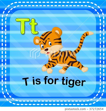 Flashcard letter T is for tiger Flashcard letter T is for tiger 37272654