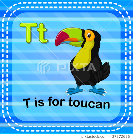 Flashcard letter T is for toucan Flashcard letter T is for toucan 37272656