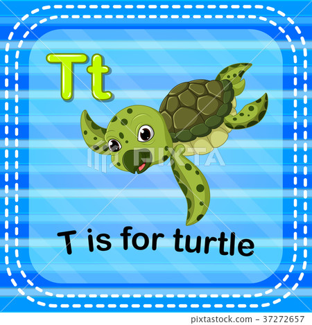 Flashcard letter T is for turtle Flashcard letter T is for turtle 37272657