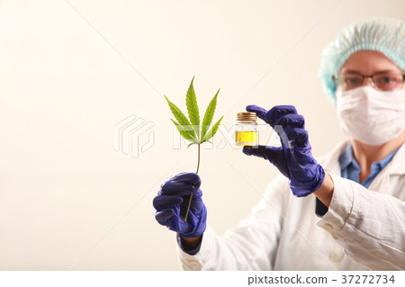 Woman doctor holding a cannabis leaf and oil.alternative medicin 37272734