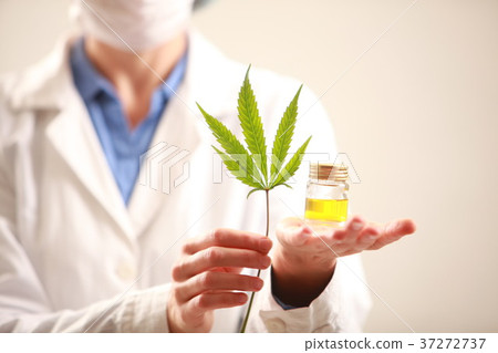 Woman doctor holding a cannabis leaf and oil.alternative medicin 37272737