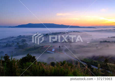Landscape fog in morning sunrise at Khao-kho Landscape fog in morning sunrise at Khao-kho 37273063