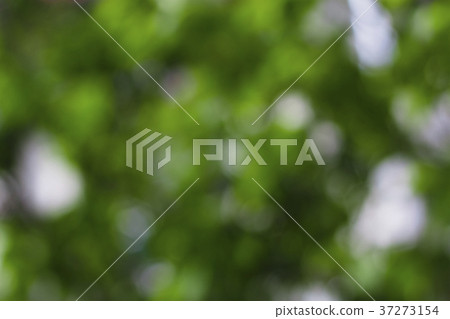 Blur, blurred image of a natural background, bokeh Blur, blurred image of a natural background, bokeh 37273154